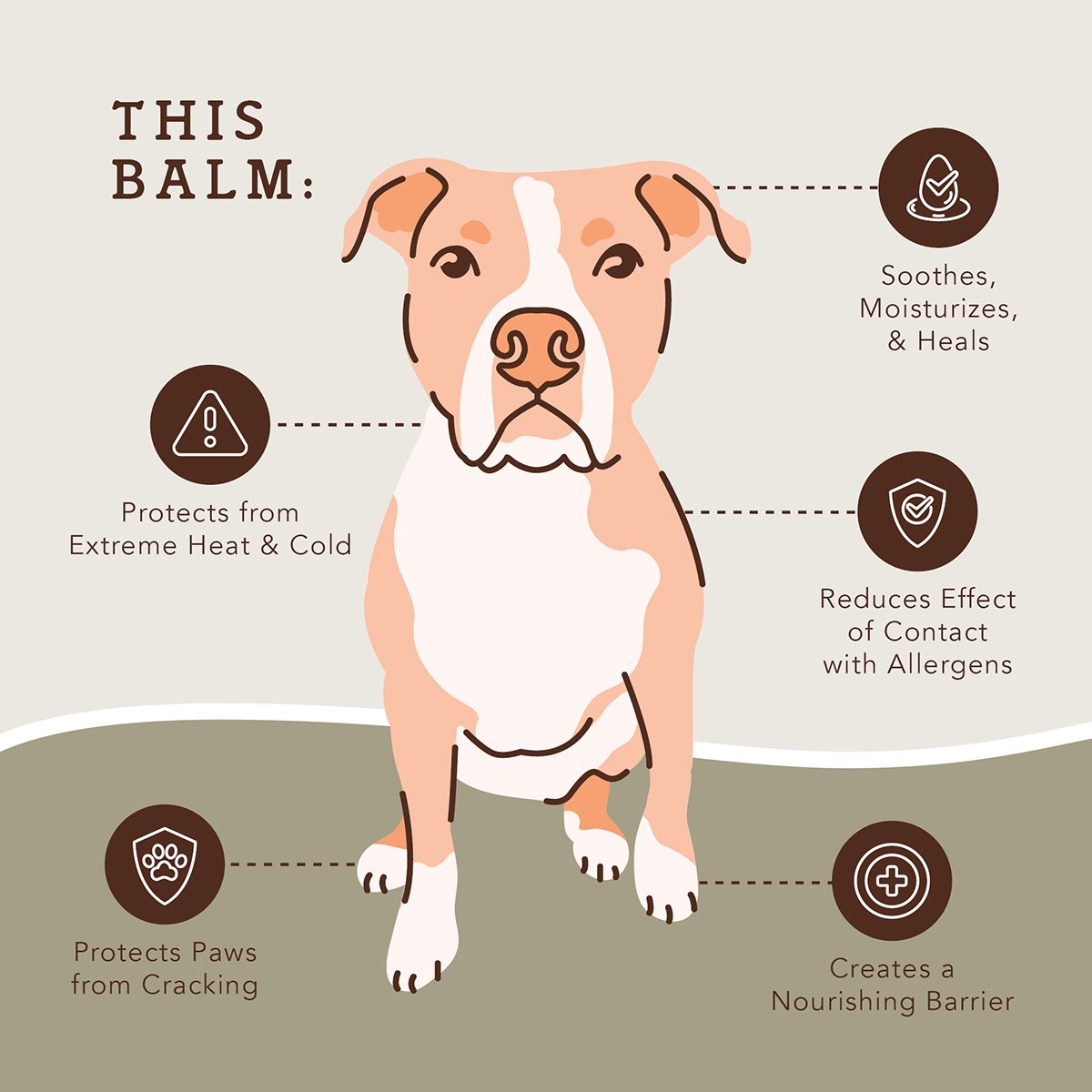 Pawtection - Image 3.jpg