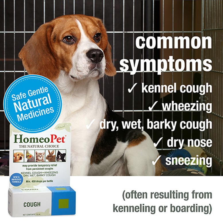 HomeoPet Cough Relief, 15 ml