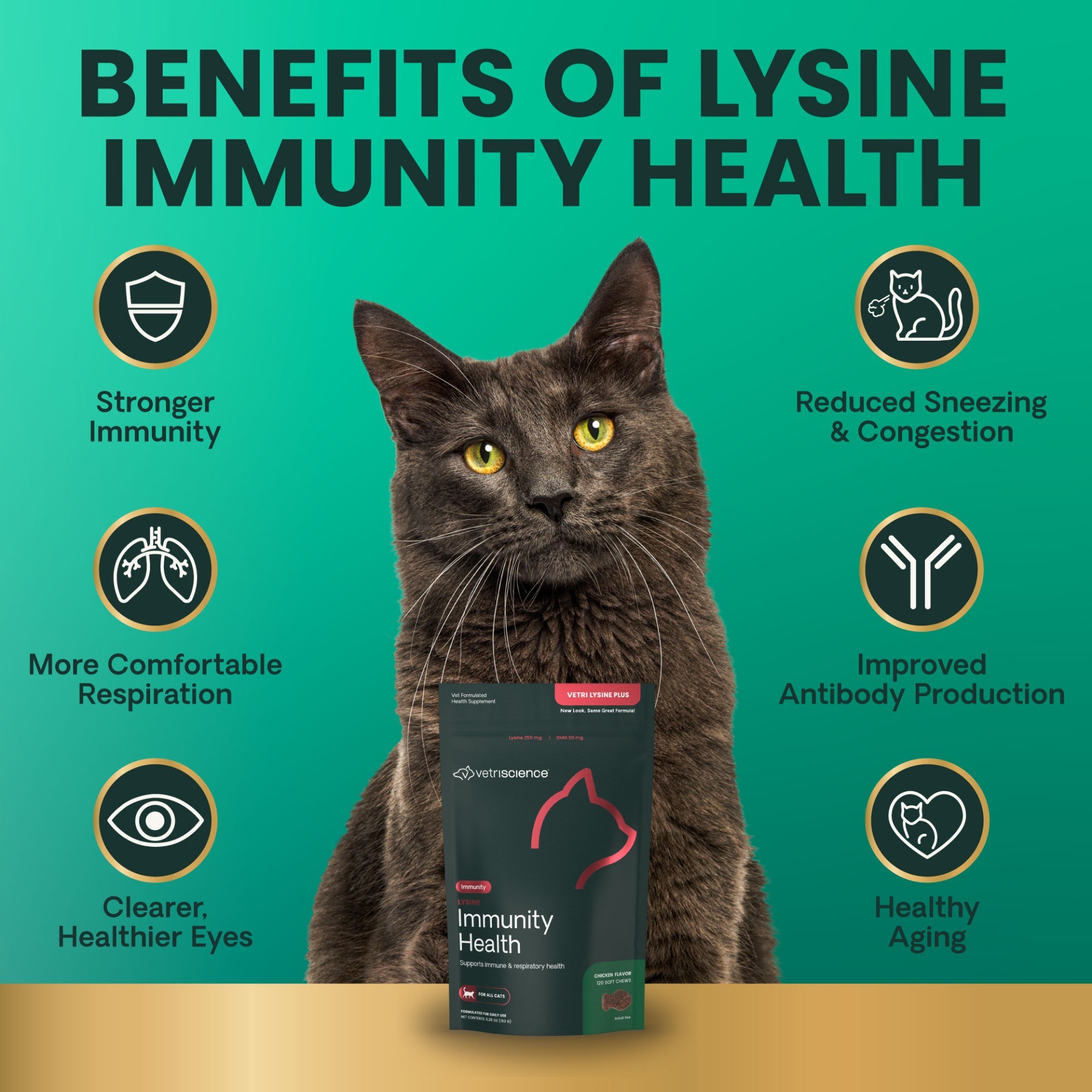 Lysine Immunity Health for Cats