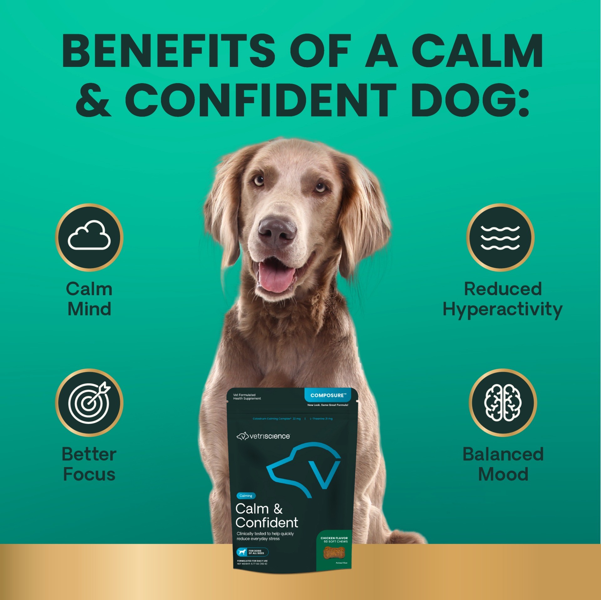 Calm & Confident for Dogs
