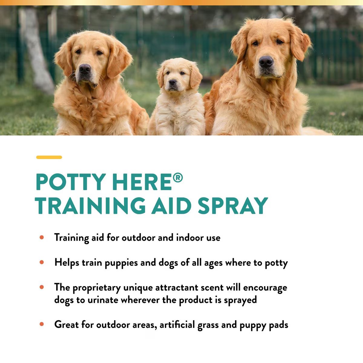 NaturVet Potty Here
