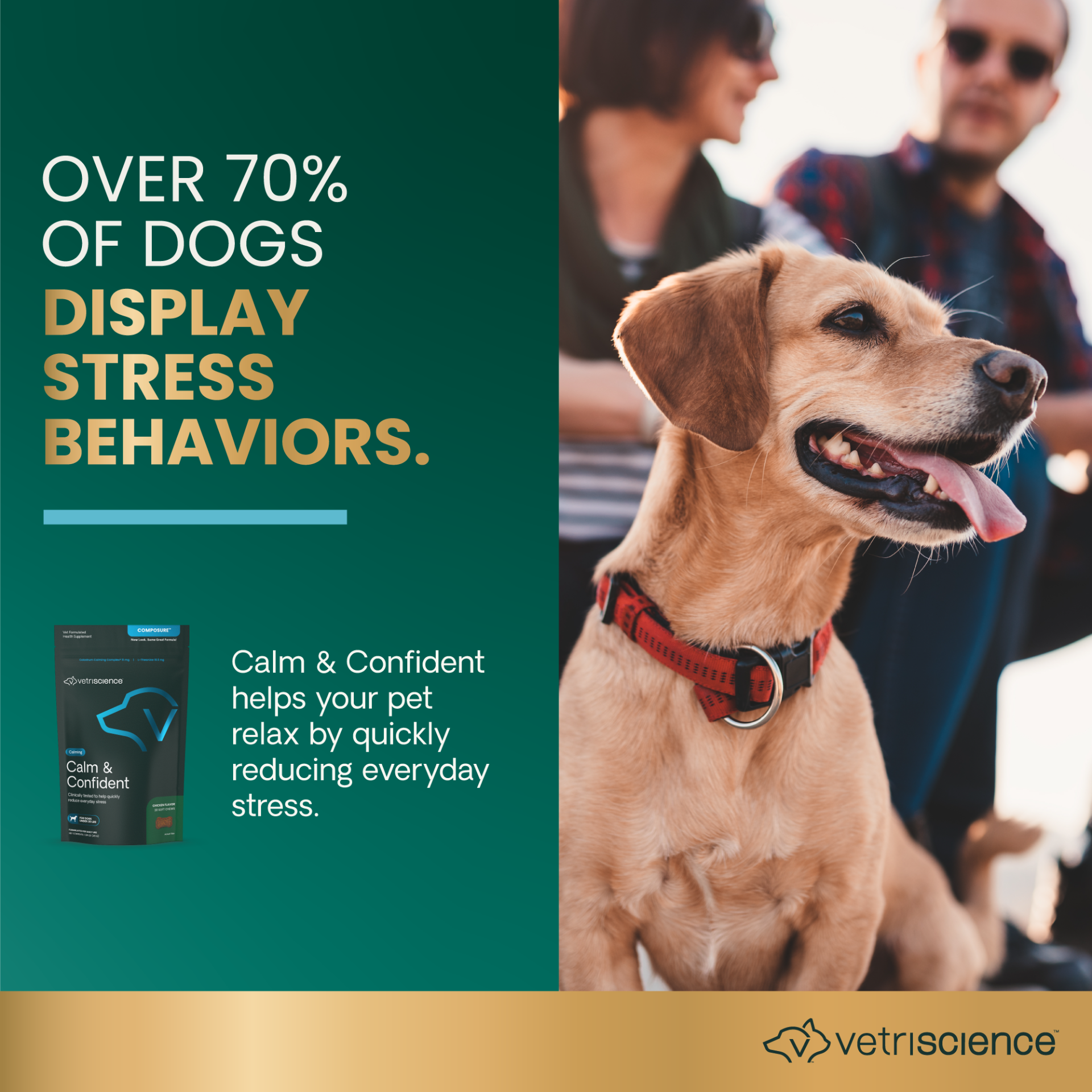 Calm & Confident for Small Dogs
