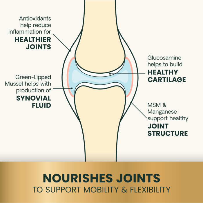Extra Strength Healthy Hip & Joint Chewable Tablets for Dogs
