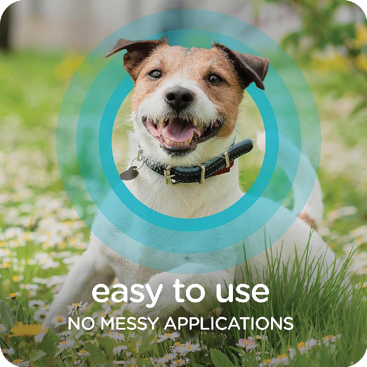 Sergeants-Guardian-Collar-Dogs-Flea-Easy-To-Use