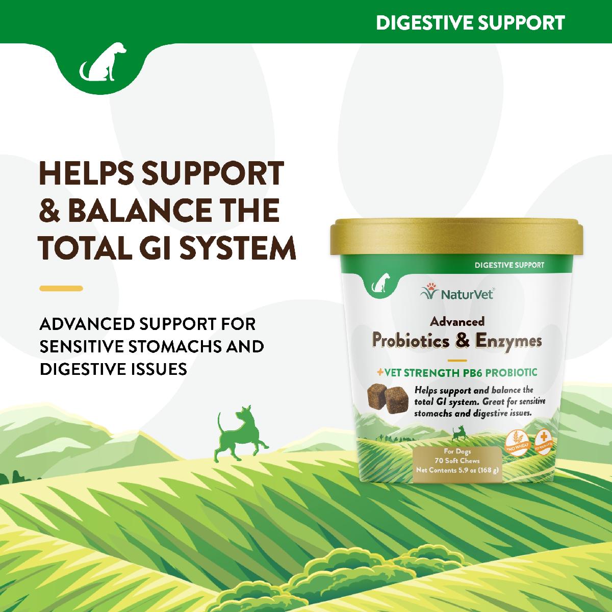 NaturVet Advanced Probiotics and Enzymes Soft Chews, Plus Vet Strength PB6 Probiotic, 70 count