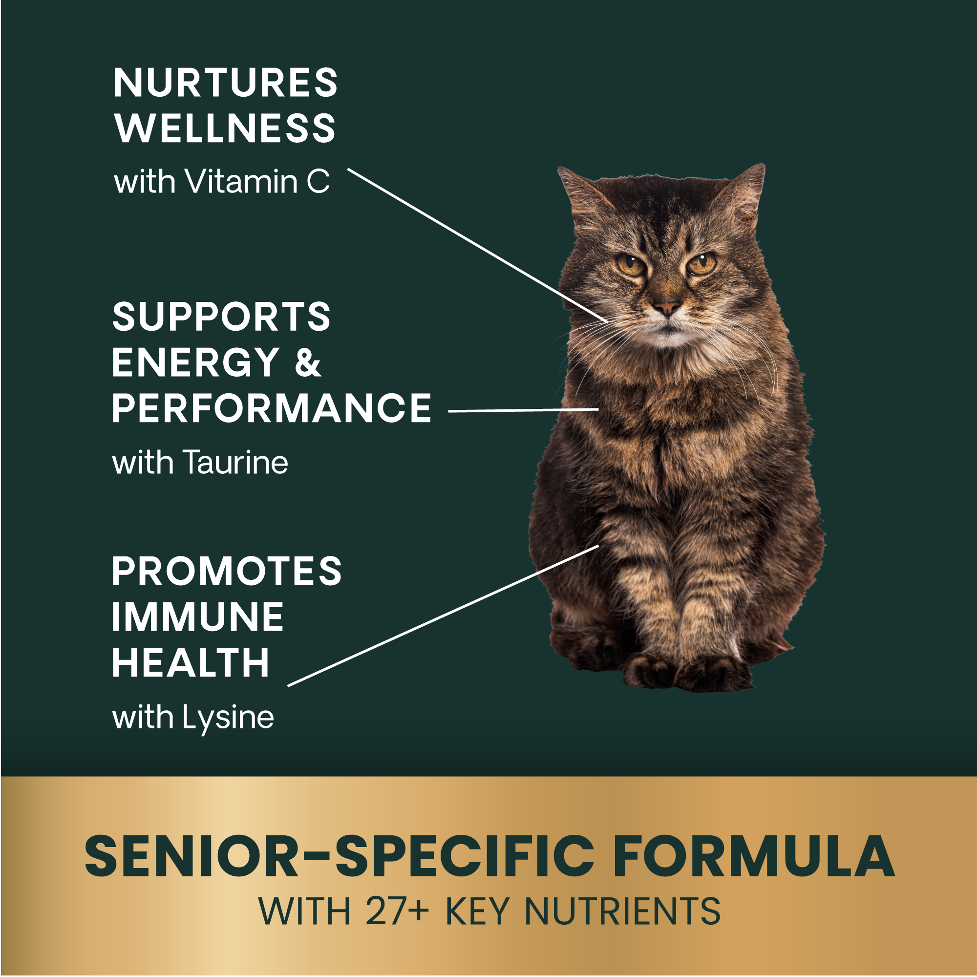 Feline Active Health
