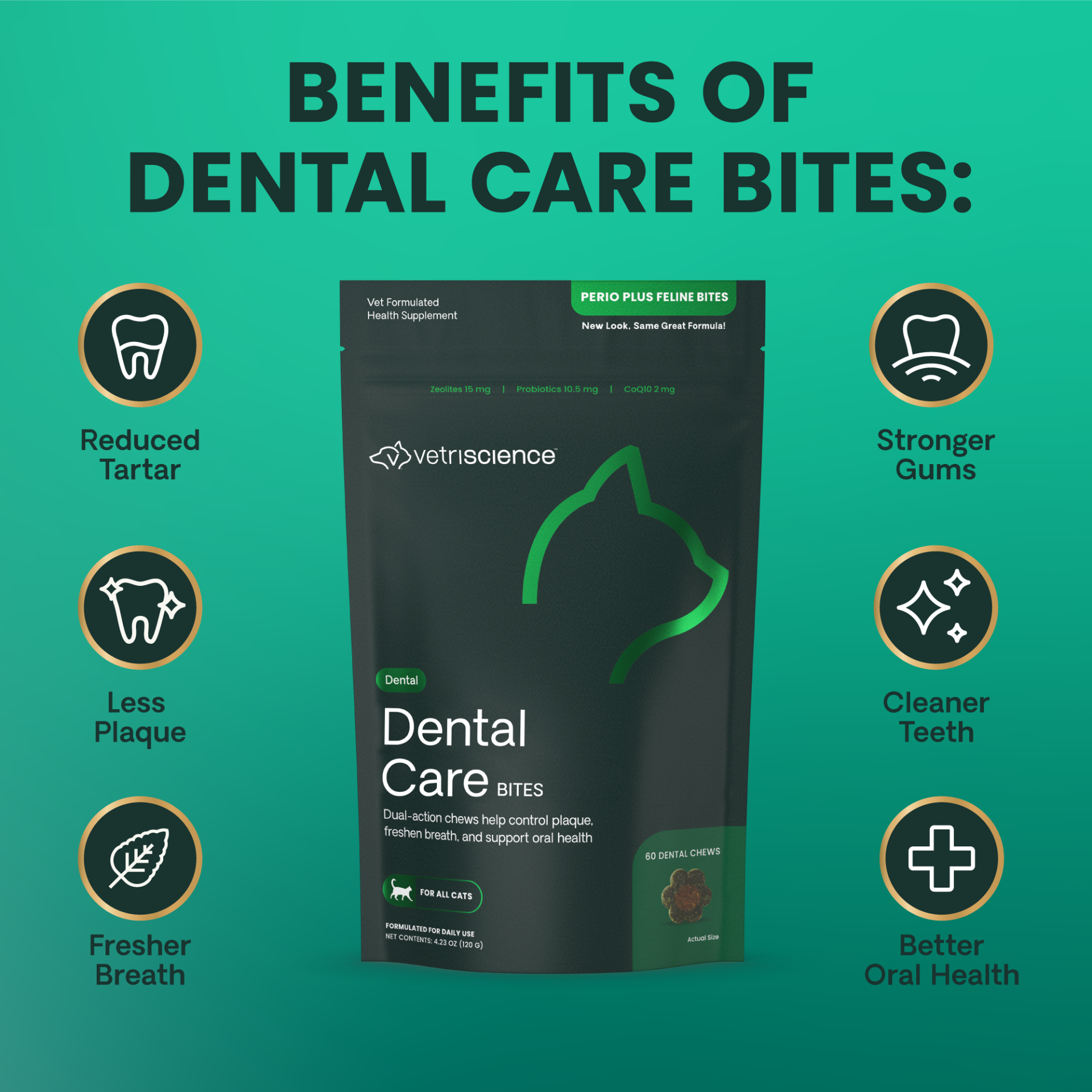 Dental Cate Bites Cat