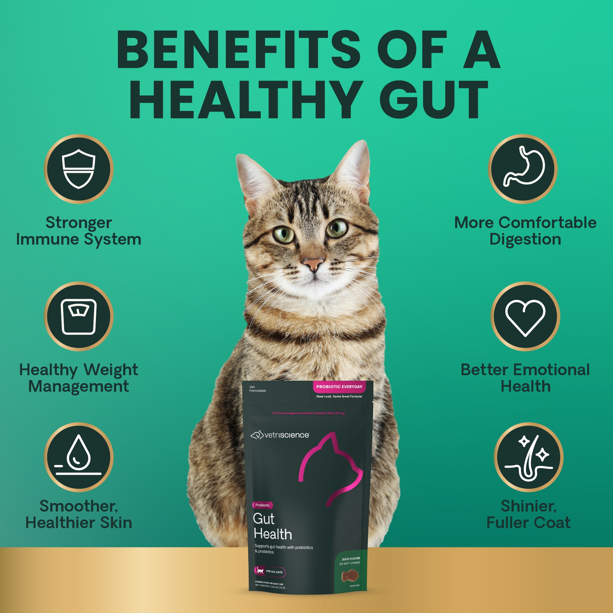 Probiotic Cat