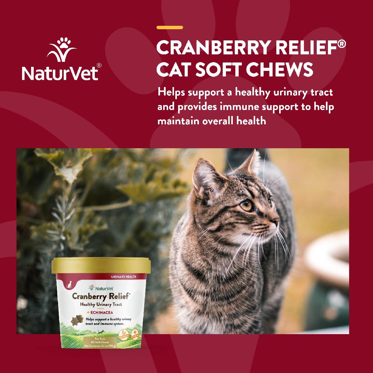 NaturVet Cranberry Relief Plus Echinacea Cat Soft Chews, 60 count