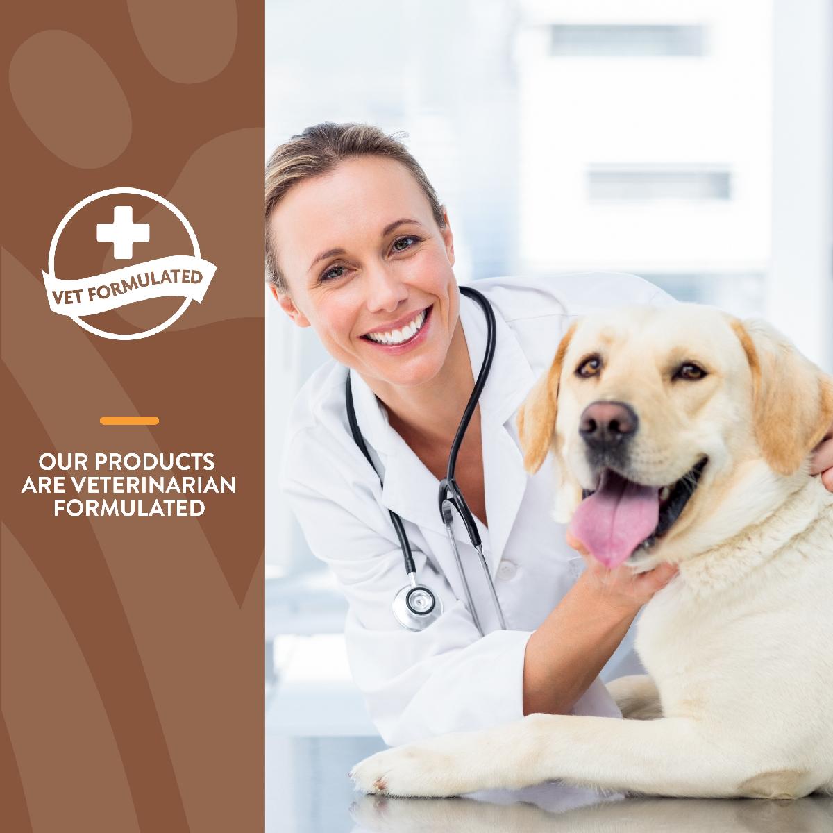 NaturVet All In One Soft Chews for Dogs 120 count