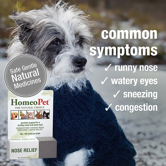 HomeoPet Nose Relief, 15 ml