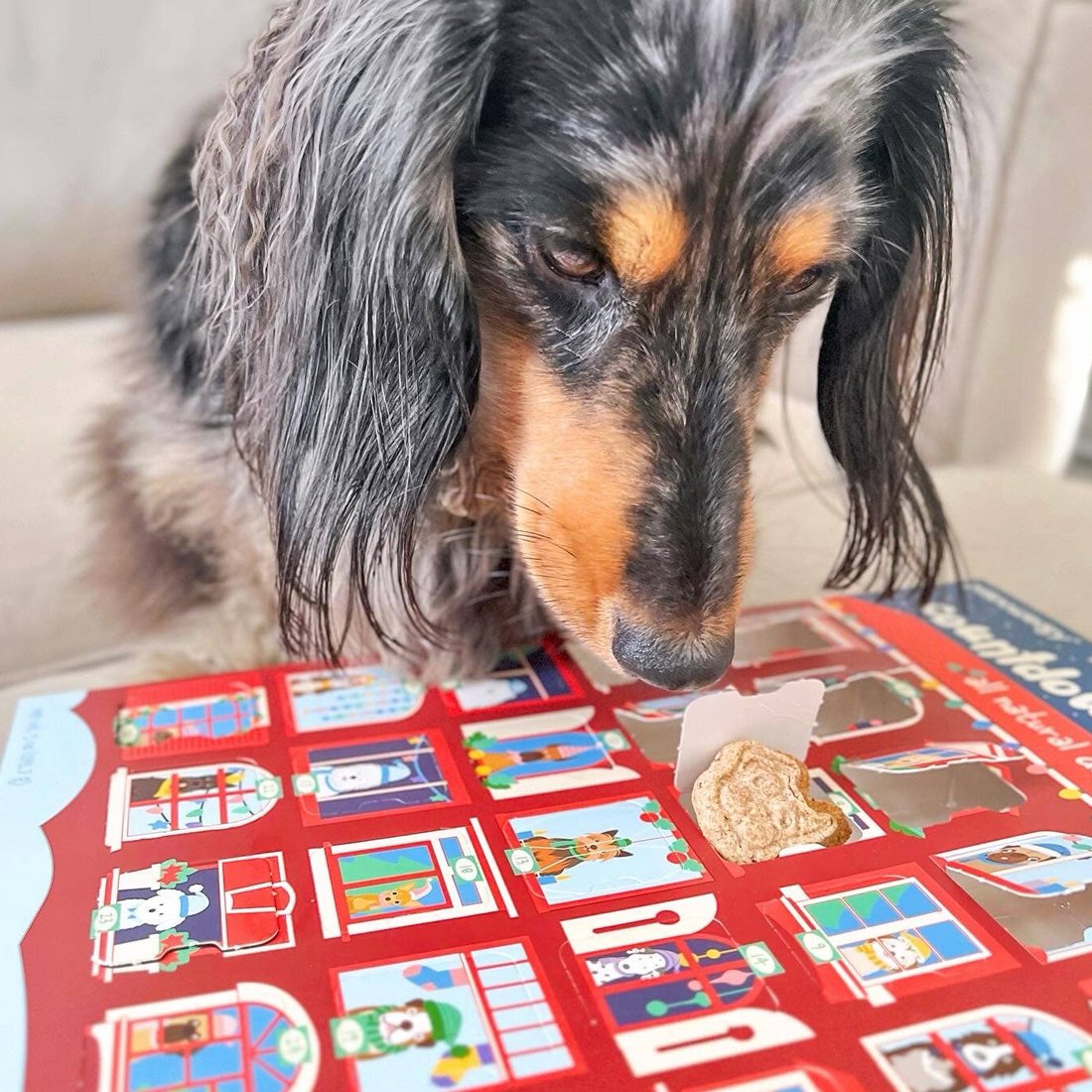 Dog Advent Treat
