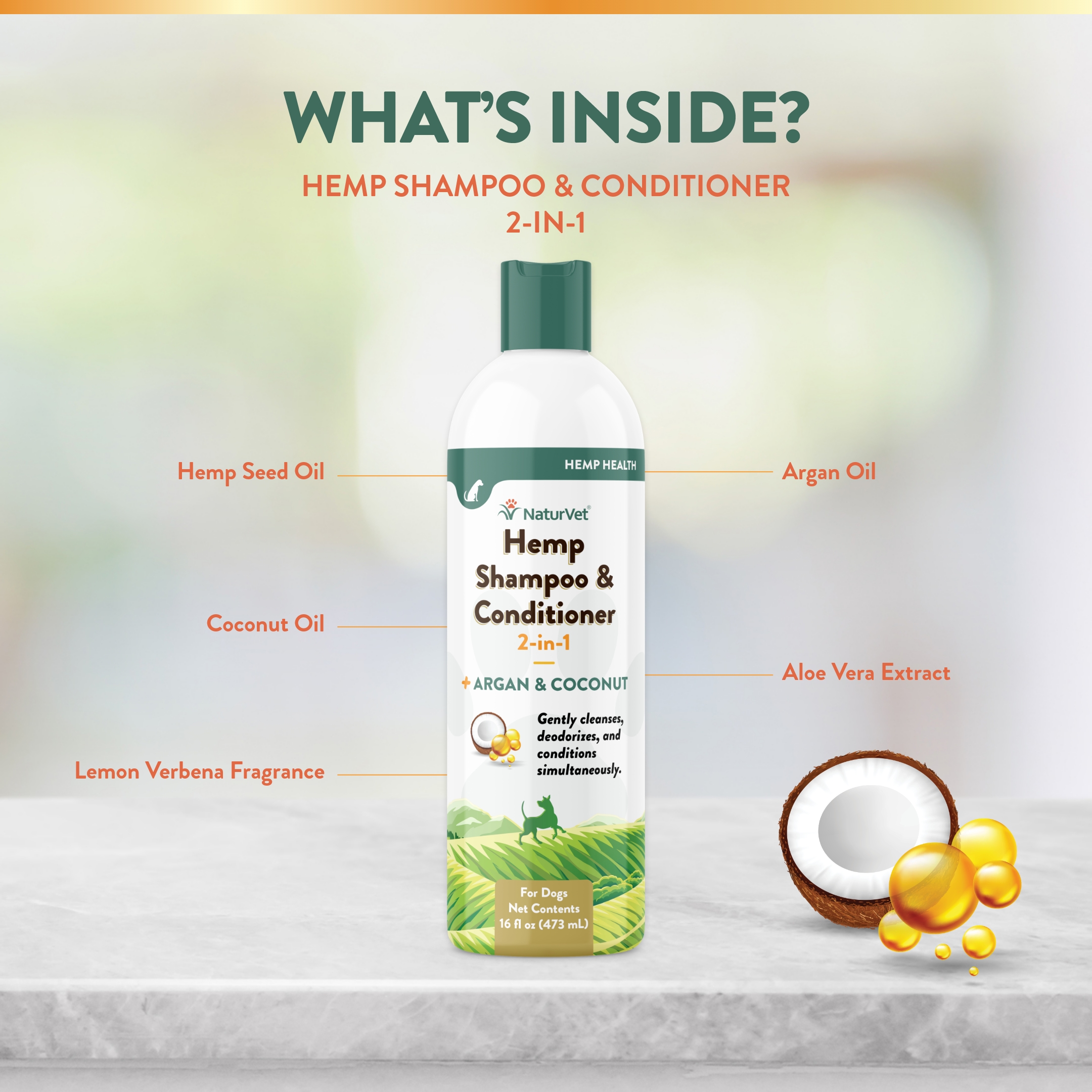 Hemp Shampoo Conditioner 2-In-1 16 fl oz NV