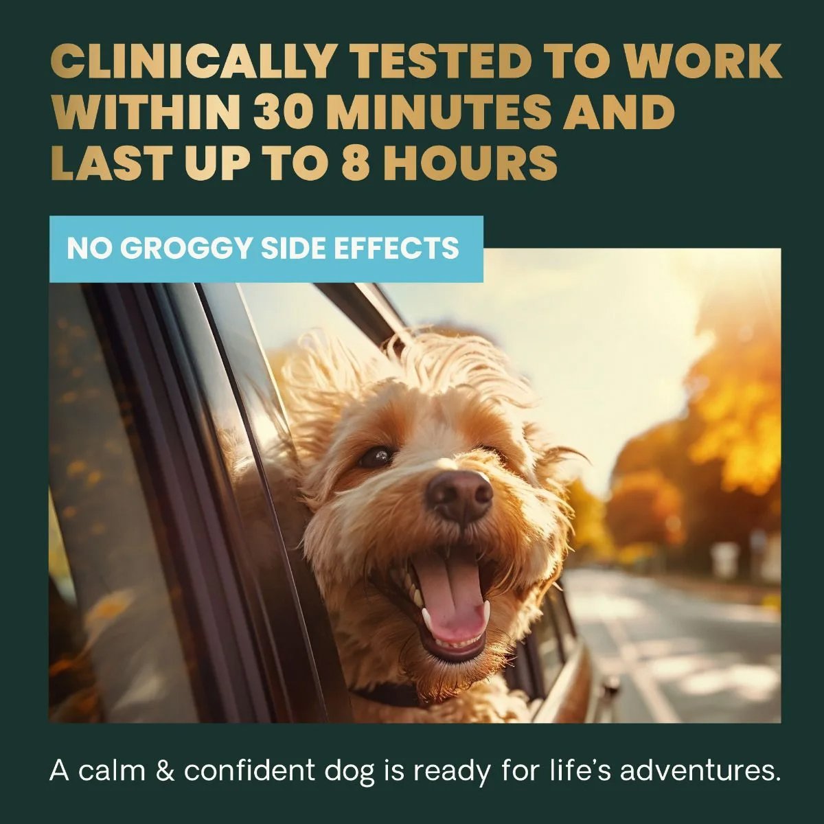 VetriScience Calm Long