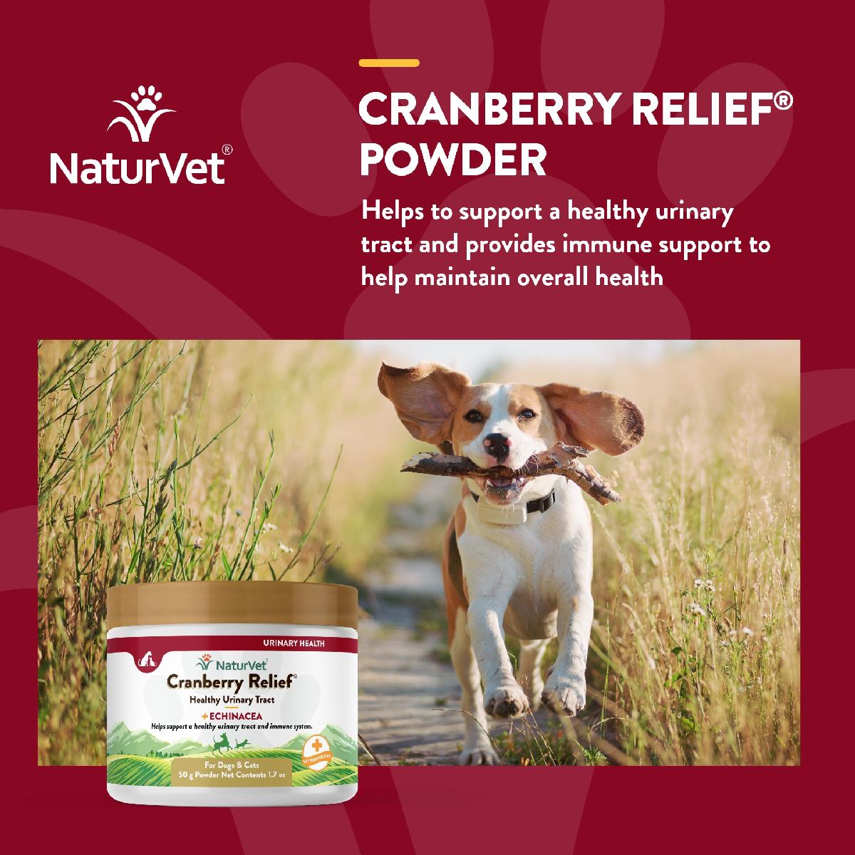 NaturVet Cranberry Relief Powder Plus Echinacea for Dogs and Cats, 50 grams