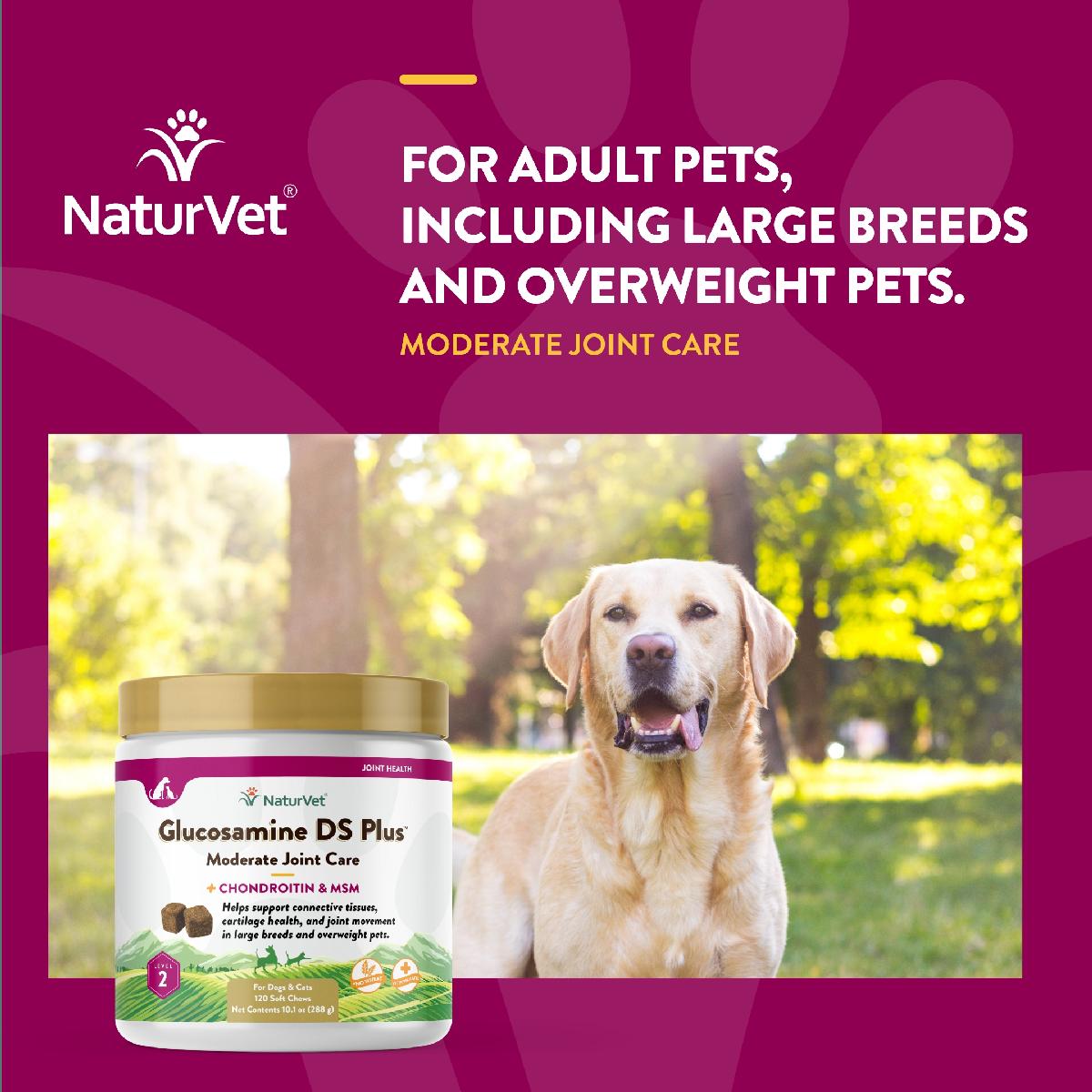 NaturVet Glucosamine DS Plus Soft Chews, Level 2 Moderate Care for Dogs and Cats, 120 count