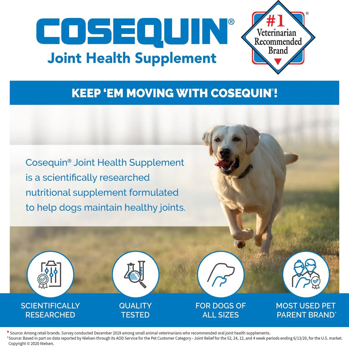 Nutramax Cosequin DS Joint Health Supplement for Dogs   With Glucosamine and Chondroitin, 132 Chewable Tablets