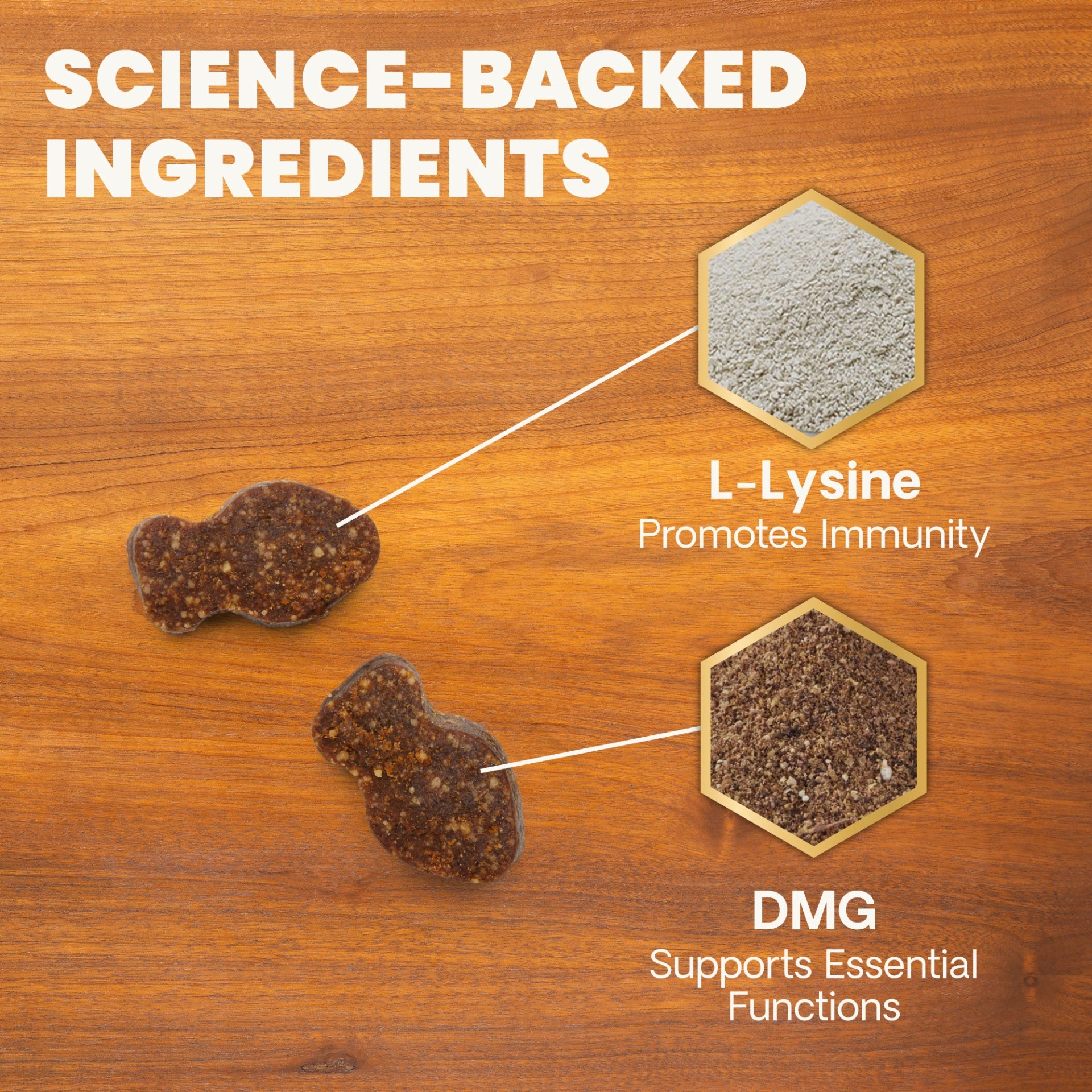 Lysine Immunity Health for Cats