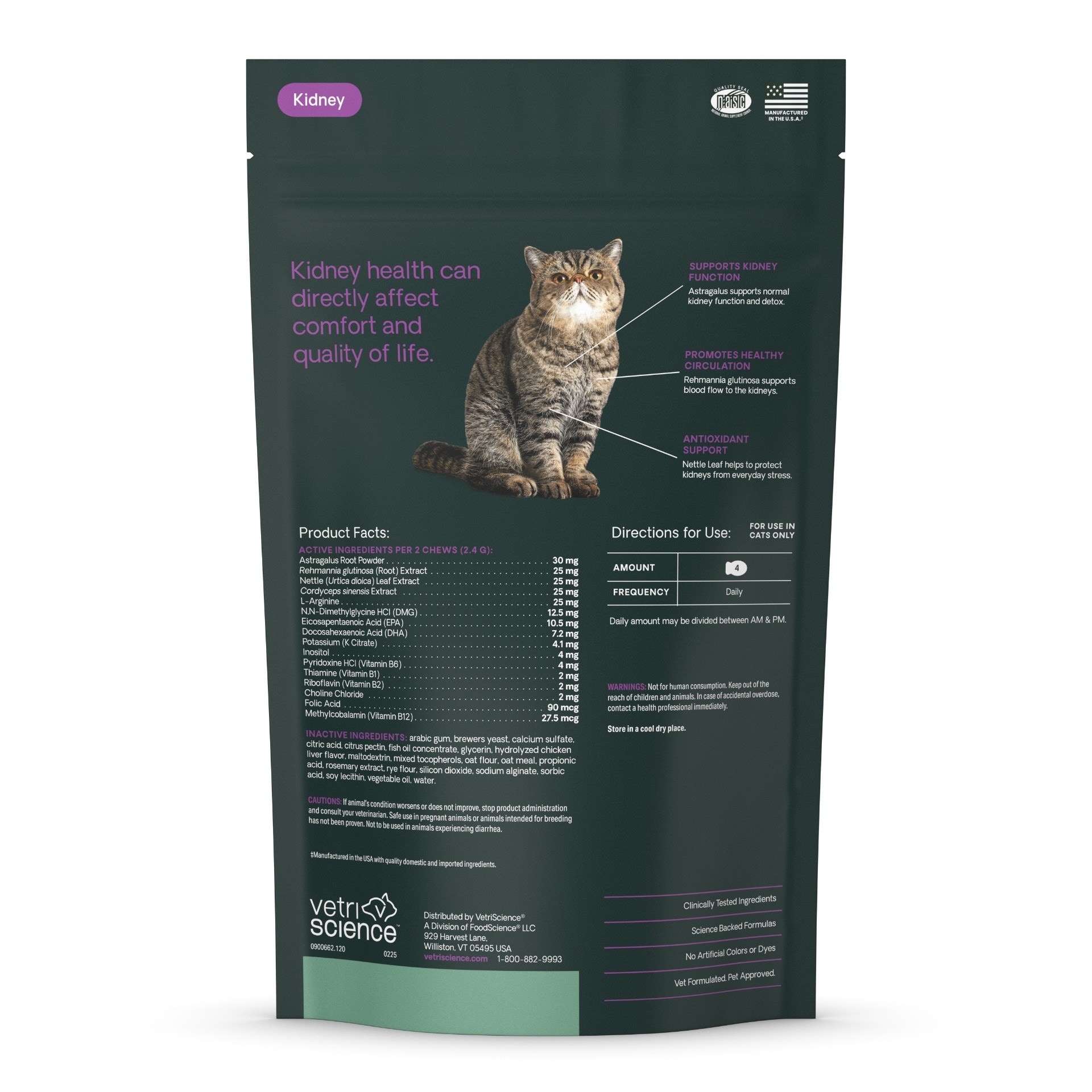 Cat Kidney Health
