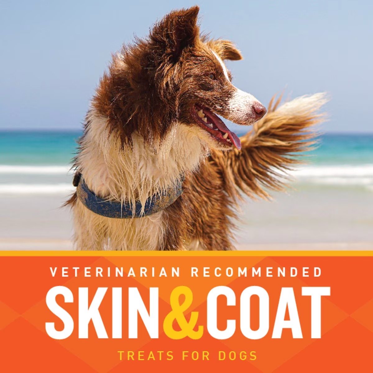 VetIQ Skin and Coat Hickory Smoke Flavor Dog Chew, 60 Ct