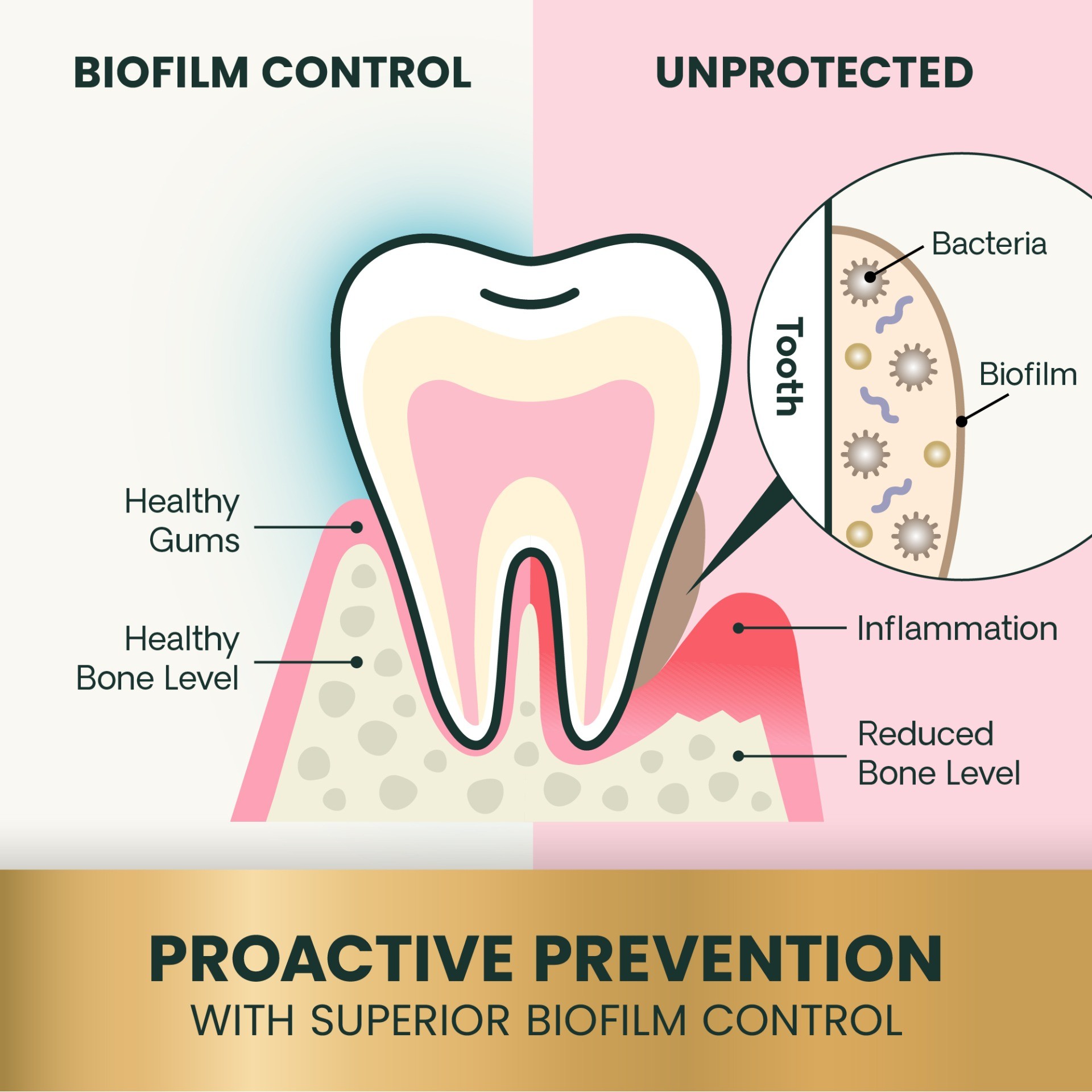 Dental Care
