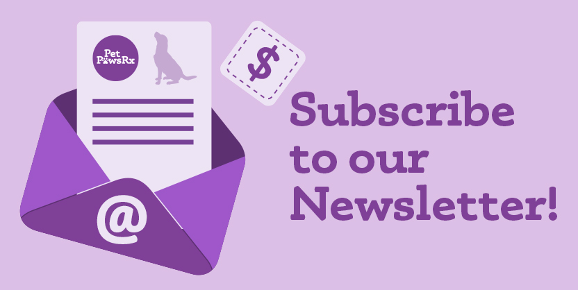 Email Sign Up