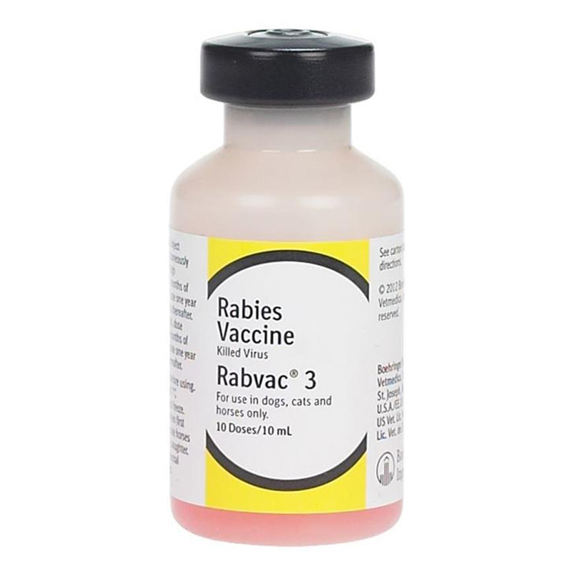 Can You Buy Rabies Vaccine For Dogs? 